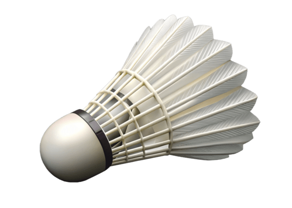 Discover the 3D Closeup of Shuttlecock Mega Bundle