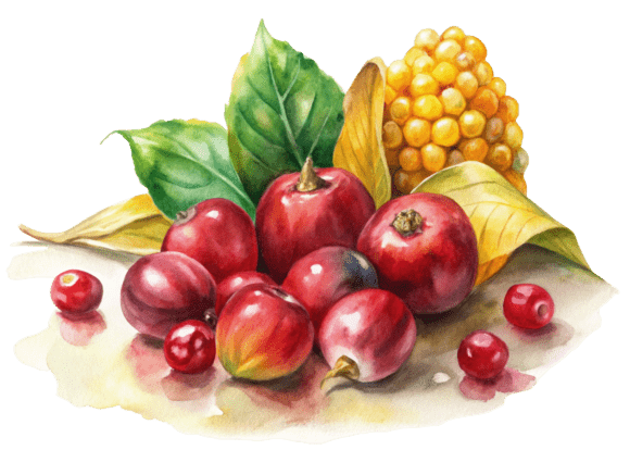Explore Cranberry Flat 3D Style for Creative Projects