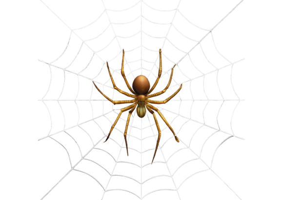 High-Quality 3D Spider Isolated PNGs