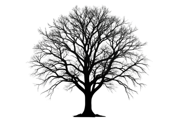 Unleash Your Creativity with PNG Scary Tree Silhouettes 3D Render