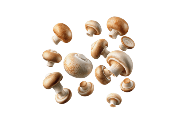 Unlock Your Creativity with 3D Flying Champignon Mushrooms PNG